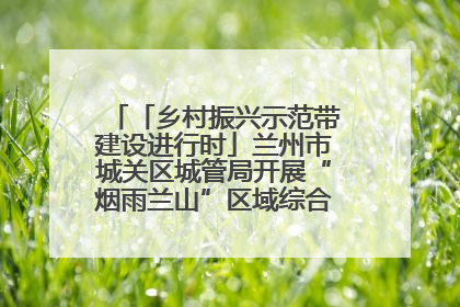 「乡村振兴示范带建设进行时」兰州市城关区城管局开展“烟雨兰山”区域综合整治专项行动
