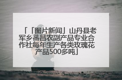 「图片新闻」山丹县老军乡蕃昌农副产品专业合作社每年生产各类玫瑰花产品500多吨
