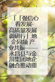 「强信心 看发展·高质量发展调研行」地企同频 产业共振——永昌县与金川集团地企融合推动重大项目建设