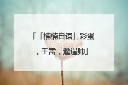 「楠楠自语」彩蛋，手雷，邋遢帅