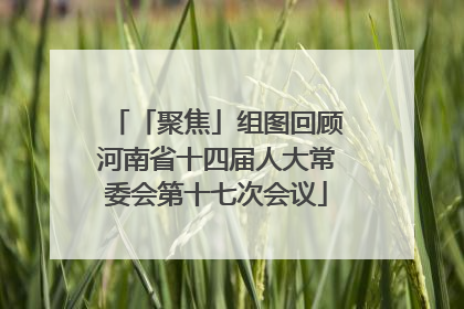 「聚焦」组图回顾河南省十四届人大常委会第十七次会议