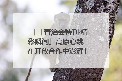 「青洽会特刊·精彩瞬间」高原心跳 在开放合作中澎湃