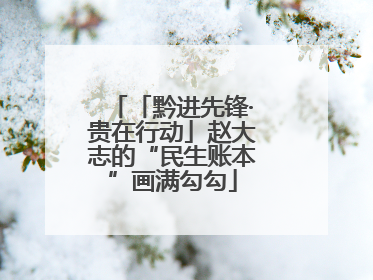「黔进先锋·贵在行动」赵大志的“民生账本”画满勾勾
