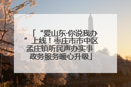 “爱山东·你说我办”上线！枣庄市市中区孟庄镇听民声办实事 政务服务暖心升级