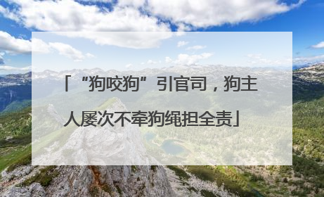 “狗咬狗”引官司，狗主人屡次不牵狗绳担全责
