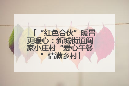 “红色合伙”暖胃更暖心：新城街道阎家小庄村“爱心午餐”情满乡村