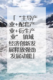 “主导产业+配套产业+衍生产业” 镇域经济创新发展释放强劲发展动能