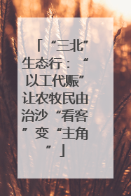 “三北”生态行：“以工代赈”让农牧民由治沙“看客”变“主角”