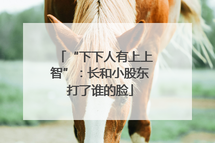 “下下人有上上智”：长和小股东打了谁的脸