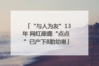 “与人为友”13年 网红麋鹿“点点”已产下8胎幼崽