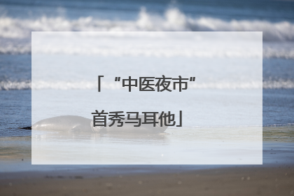 “中医夜市”首秀马耳他