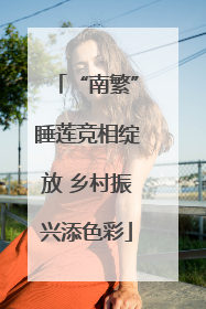 “南繁”睡莲竞相绽放 乡村振兴添色彩