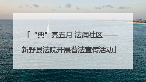 “典”亮五月 法润社区——新野县法院开展普法宣传活动