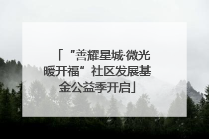 “善耀星城·微光暖开福”社区发展基金公益季开启