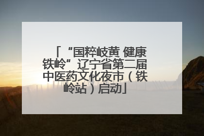 “国粹岐黄 健康铁岭”辽宁省第二届中医药文化夜市（铁岭站）启动
