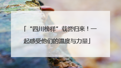 “四川榜样”载誉归来！一起感受他们的温度与力量