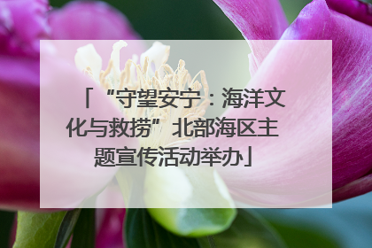 “守望安宁：海洋文化与救捞”北部海区主题宣传活动举办