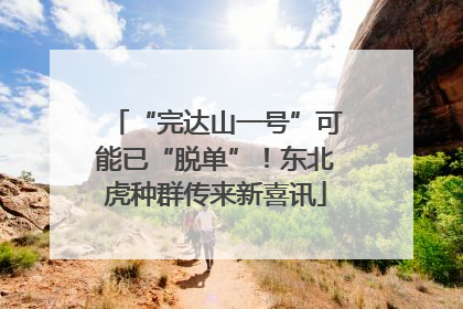 “完达山一号”可能已“脱单”！东北虎种群传来新喜讯