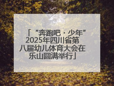 “奔跑吧・少年”2025年四川省第八届幼儿体育大会在乐山圆满举行