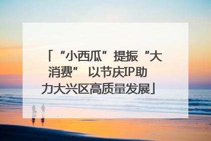 “小西瓜”提振“大消费” 以节庆IP助力大兴区高质量发展