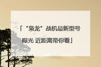 “枭龙”战机最新型号曝光 近距离带你看