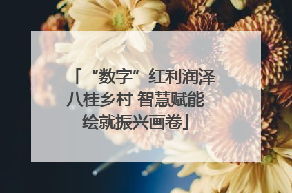 “数字”红利润泽八桂乡村 智慧赋能绘就振兴画卷