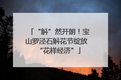 “斛”然开朗！宝山罗泾石斛花节绽放“花样经济”