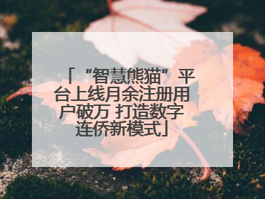 “智慧熊猫”平台上线月余注册用户破万 打造数字连侨新模式