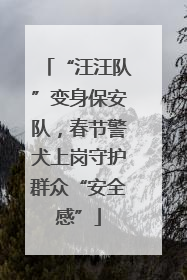 “汪汪队”变身保安队，春节警犬上岗守护群众“安全感”