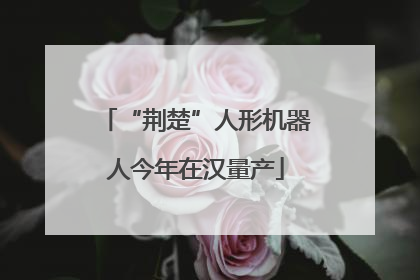 “荆楚”人形机器人今年在汉量产