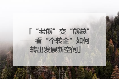 “老熊”变“熊总”——看“个转企”如何转出发展新空间