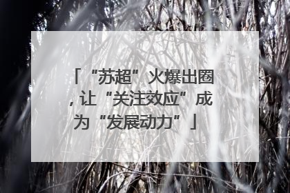 “苏超”火爆出圈，让“关注效应”成为“发展动力”