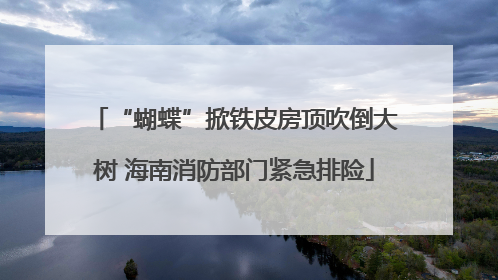 “蝴蝶”掀铁皮房顶吹倒大树 海南消防部门紧急排险
