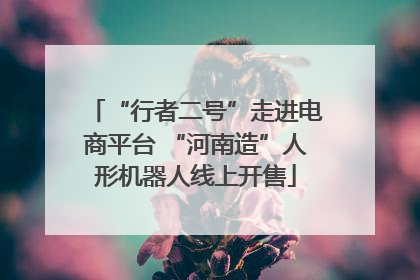 “行者二号”走进电商平台 “河南造”人形机器人线上开售