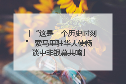 “这是一个历史时刻” 索马里驻华大使畅谈中非银幕共鸣