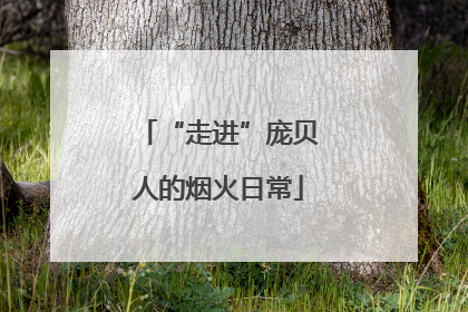 “走进”庞贝人的烟火日常