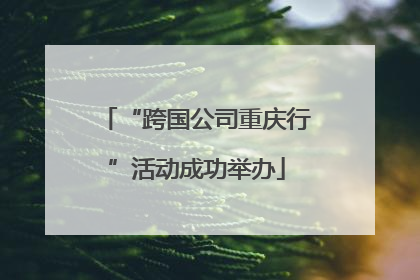 “跨国公司重庆行”活动成功举办
