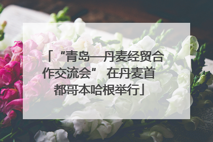 “青岛—丹麦经贸合作交流会” 在丹麦首都哥本哈根举行
