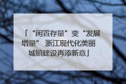 “闲置存量”变“发展增量” 浙江现代化美丽城镇建设再添新意