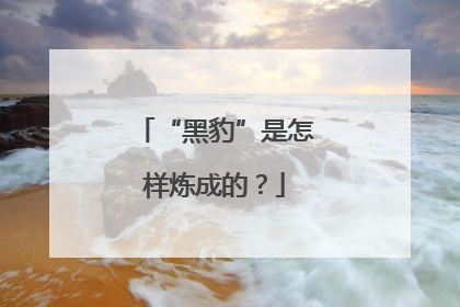 “黑豹”是怎样炼成的？