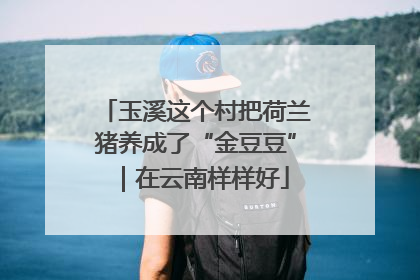 玉溪这个村把荷兰猪养成了“金豆豆”｜在云南样样好