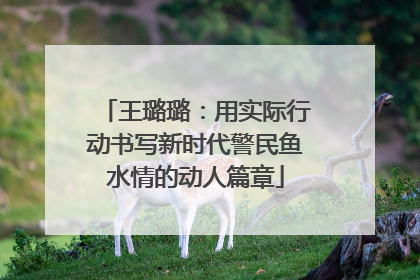 王璐璐：用实际行动书写新时代警民鱼水情的动人篇章