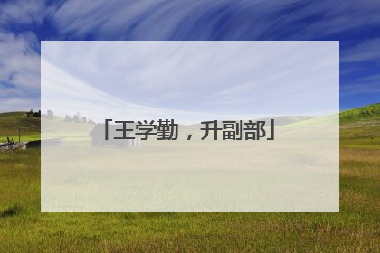 王学勤，升副部