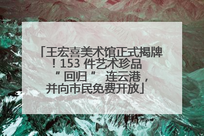 王宏喜美术馆正式揭牌！153 件艺术珍品 “ 回归 ” 连云港，并向市民免费开放
