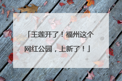 王莲开了！福州这个网红公园，上新了！