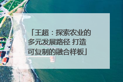 王超：探索农业的多元发展路径 打造可复制的融合样板