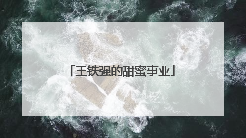 王铁强的甜蜜事业