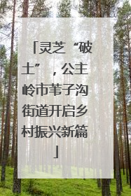 灵芝“破土”，公主岭市苇子沟街道开启乡村振兴新篇