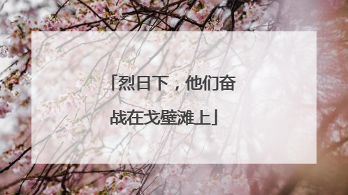 烈日下，他们奋战在戈壁滩上