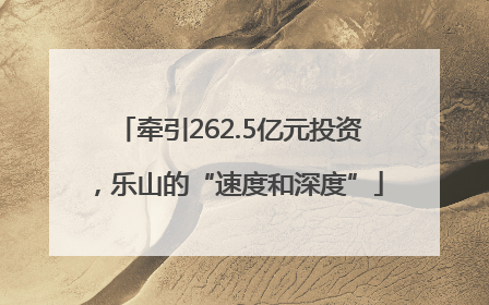 牵引262.5亿元投资，乐山的“速度和深度”